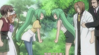 圆崎姐妹互骂10分钟纯享