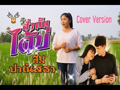 ส่ำนั้นได้บ่(น้องบ่แม่นเจ้าหญิง) - ส้ม ปาณิสรา【Cover Version 】: เขากวางอินดี้