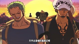 浪漫过敏组