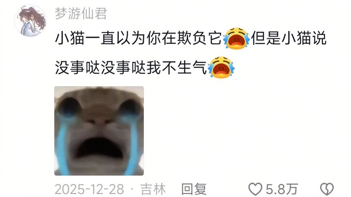 Ibu kucing: Jangan ajari anakku ngomong kasar! 😡