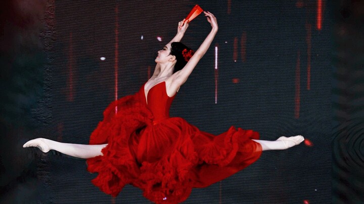 [Don Quixote Makes His Entrance] 19 Years Old, 15 Years of Amateur Ballet | A Performance by One of 