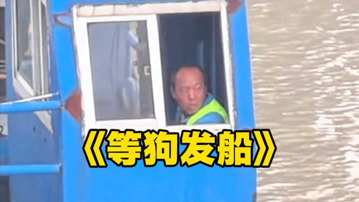 ฉวนจางไม่รู้ว่าลูกสุนัขไปทำอะไรที่ฝั่งตรงข้ามทุกวัน แต่ทุกครั้งก่อนออกเรือเขาก็จะรอเจ้าตูบเสมอ!