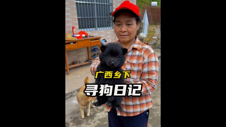 ตามหาสุนัขในหมู่บ้านกว่างซี ได้ลูกสุนัขพันธุ์พื้นเมืองมา 3 ตัว