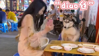 “动物缺德行为大赏”