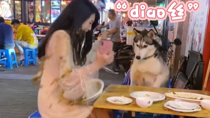 “动物缺德行为大赏”