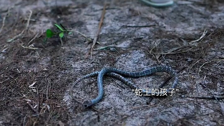 “Everything has a spirit!” Good begets good, and evil begets evil—but if it doesn’t pay off right aw