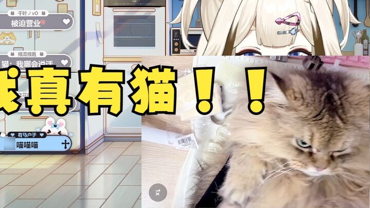 I really have a cat! ! 【栞栞Shiori】