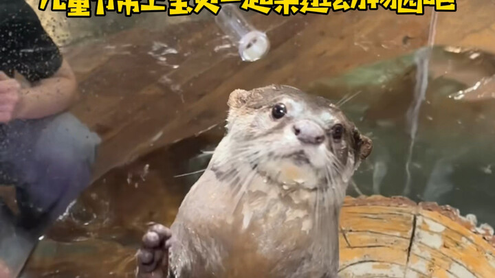 Such a fun zoo—aren’t you coming to visit?