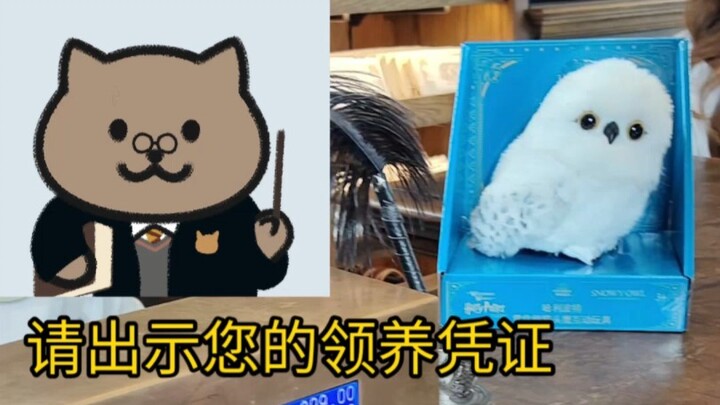 หลังจากตั้งชื่อสุดเท่ให้นกฮูก ก็ถูกด่าซะแล้ว (ไม่ใช่เลย)