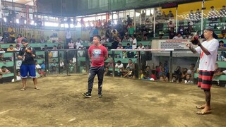 Champion fight arcontika