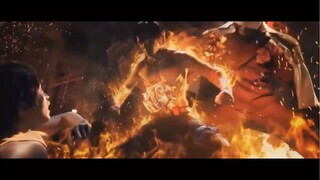 One Piece : The Movie - Live Action