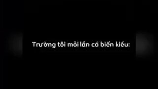 Trường có biến kiểu: