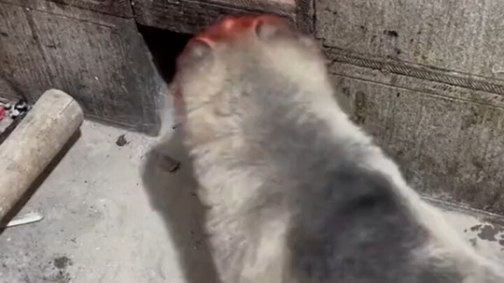 Cara Pemanasan Terbaik di Pedesaan