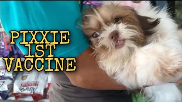 1ST VLOG PIXXIE VET SCHEDULE|Romeos Journey