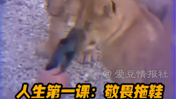 这短短的30秒 我看到的我的成长经历