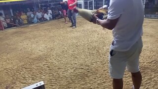 calumpit cackpit arena win