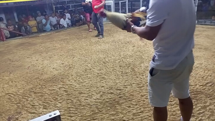 calumpit cackpit arena win