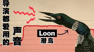 Vox Science: Why do so many movies love using loon calls?