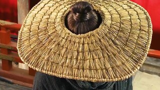 软饭硬吃雨化田#动作电影 #武侠 #怀旧经典影视