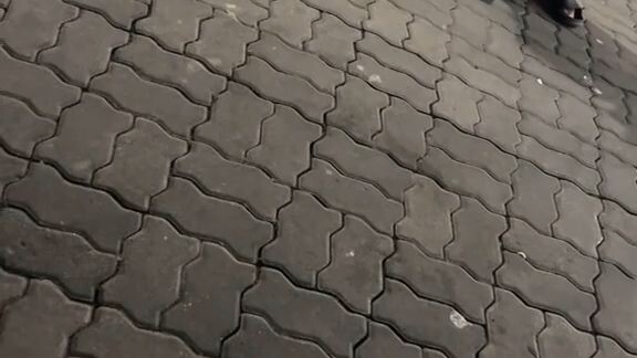 kronologi ojol virall🔥🔥