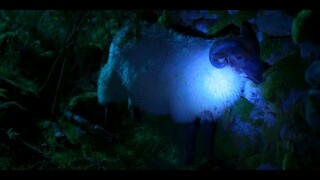 Fate The Winx Saga Season 1 Episode 1 English