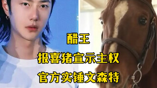 【博君一肖】王一宝你还真是连马的醋都吃啊~