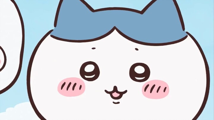 【chiikawa】Xiaoba is actually a very sensitive child