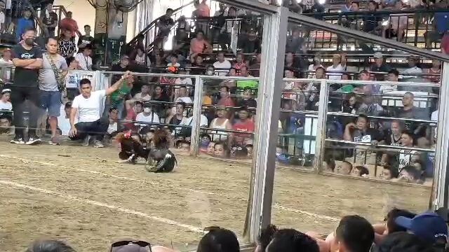 backyard junior m.2hits sn pedro laguna.talo mga paps nakabawi naman pangalawang laban panalo.