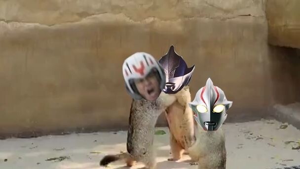 Long Sang fights two Ultramen alone