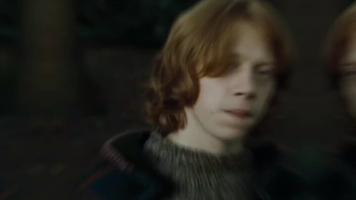 The Weasley family has a king of Gu, I love Ron!