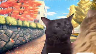 【Cat meme】The story of how Luo Ji fell into an ice hole, discovered the truth of the universe, and t