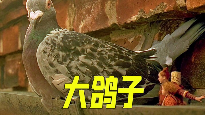 Such a tiny little person, such a huge pigeon—welcome to the whimsical comedy “The Roguish Thief”