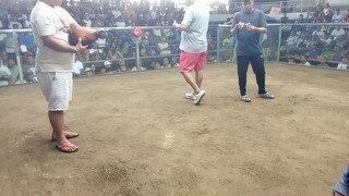 konti lang naman