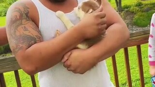 Wajib ditonton buat para pria tangguh! Setelah 15 tahun, akhirnya dia mendapatkan anjing yang diingi