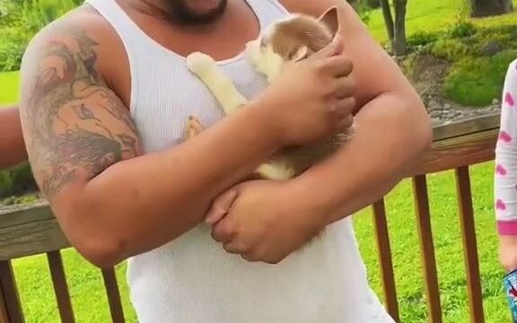 Wajib ditonton buat para pria tangguh! Setelah 15 tahun, akhirnya dia mendapatkan anjing yang diingi