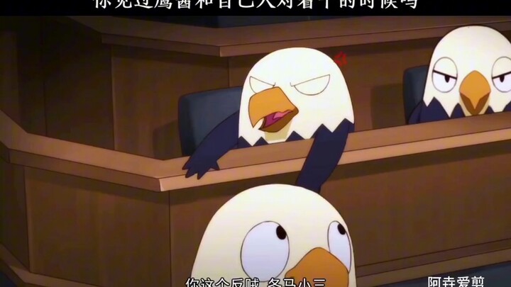【那年那兔那些事儿】看鹰酱们内讧多么有趣