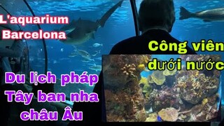 Công viên dưới nước ở l’aquarium Barcelona/Cuộc sống pháp/du lịch pháp-Tây ban nha- châu Âu