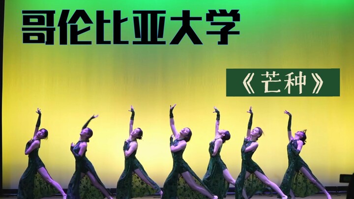 哥伦比亚大学华人舞社《芒种》表演        【哥伦比亚大学Plus86街舞社】