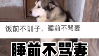 饭前不训子，睡前不骂妻，看到没，老婆生气了！哈哈哈哈哈