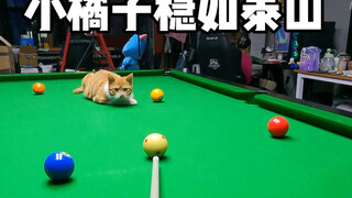 Thật sự vững như bàn thạch