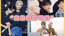 文俊辉是95line养的小猫咪吧!