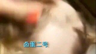 非常可爱的视频