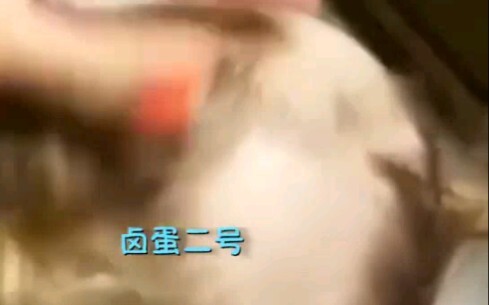 فيديو لطيف جدًا