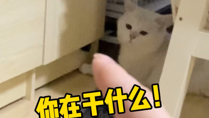 "He Punched a Hole in the Big Wardrobe"