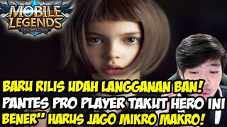 100% WR PAKAI HERO INI! PANTES PRO PLAYER TAKUT SAMA HERO INI! BANTAI!