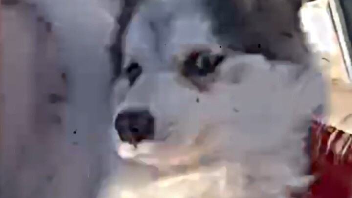 Chẳng phải vừa định xúc động à!