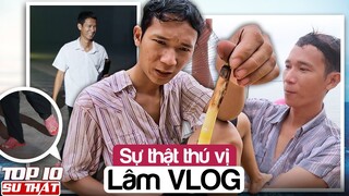 Sự Thật Thú Vị về LÂM VLOG - Từ Hai Bàn Tay Trắng trở thành Hot Youtuber Của Năm ▶ Top 10 Thú Vị