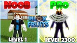 The BEST Blox Fruits NOOB To PRO In One Video...