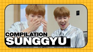 [ENG SUB] INFINTE SungGyu Compilation 💚