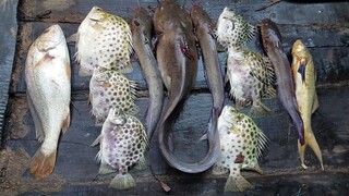 CÁ KHO CÀ • Nấu Ăn Bữa Cơm Trên Ghe | Ngư Dân Miền Tây